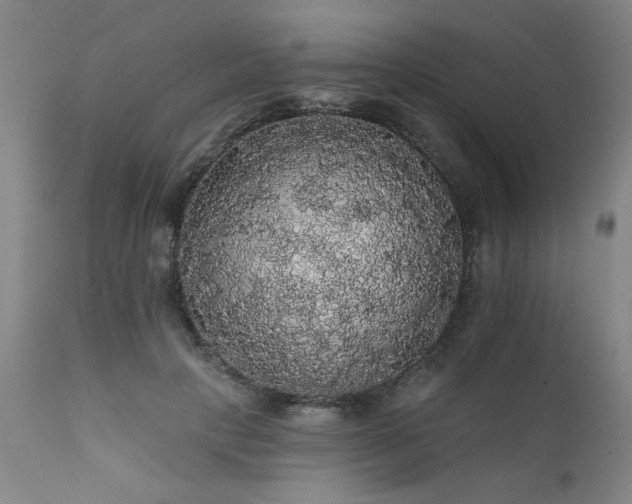 X0000111910649200907271223