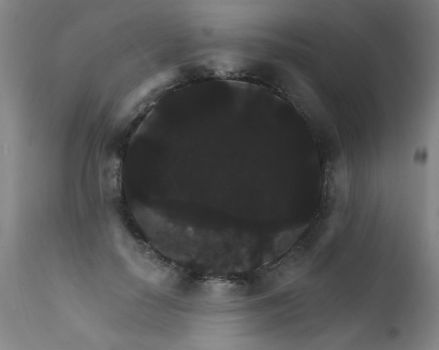 X0000111910650200907271223