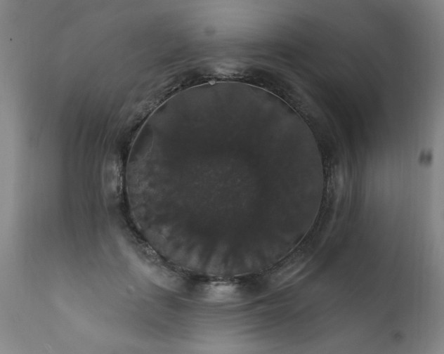 X0000111910651200907271223