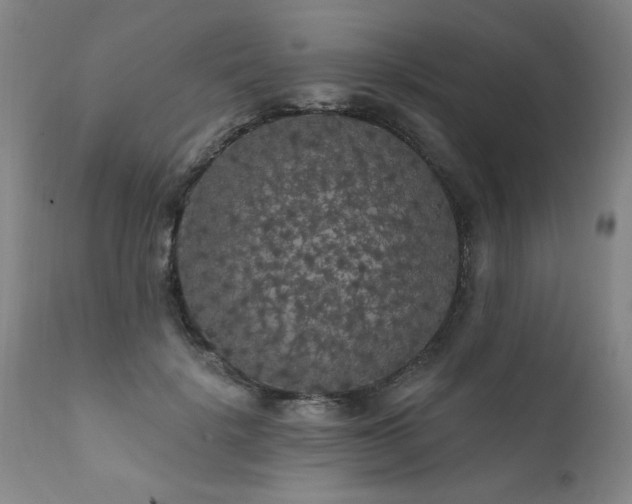 X0000111910652200907271223