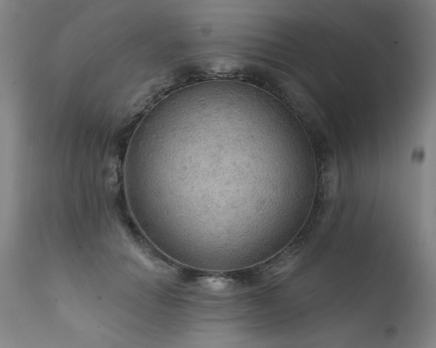 X0000111910654200907271223