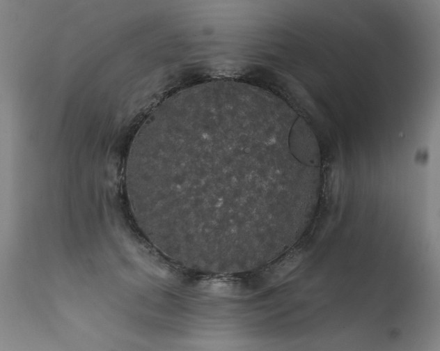 X0000111910655200907271223