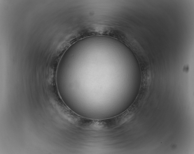 X0000111910656200907271223