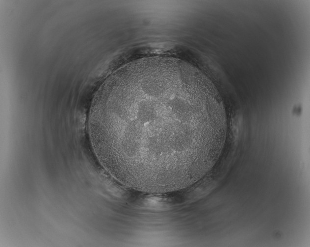 X0000111910657200907271223