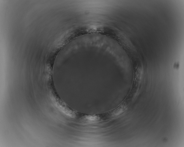 X0000111910659200907271223