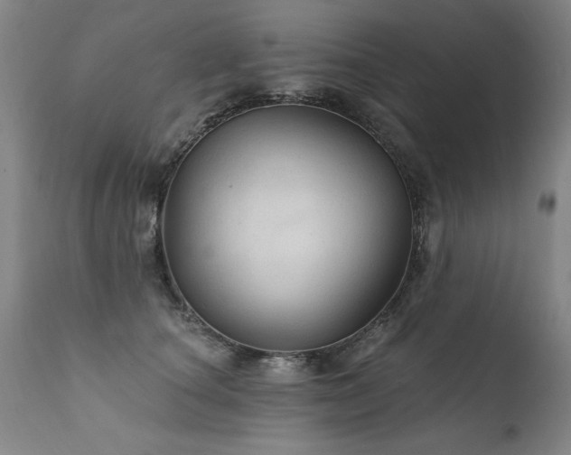 X0000111910660200907271223