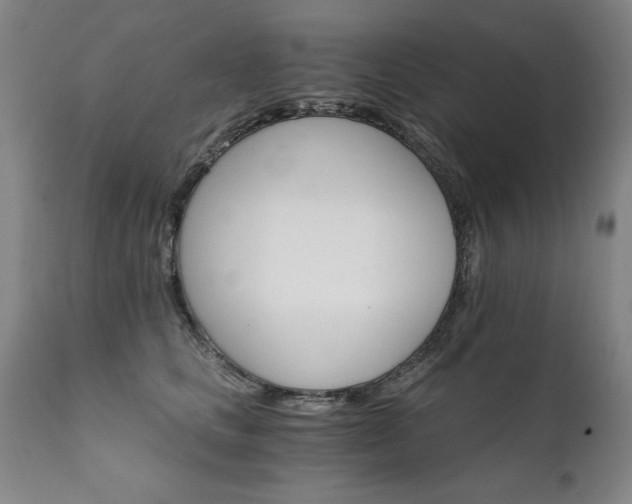 X0000111910661200907271223