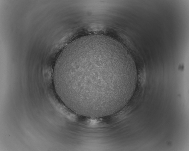 X0000111910662200907271223