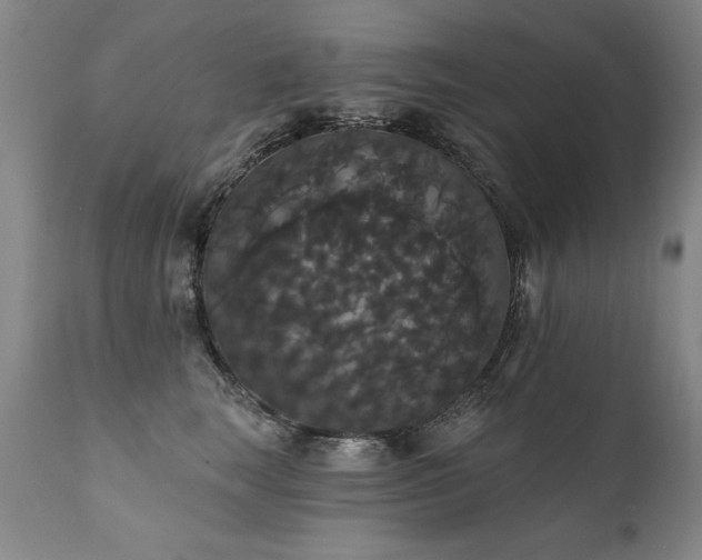 X0000111910663200907271223