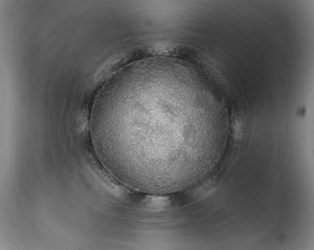 X0000111910665200907271223