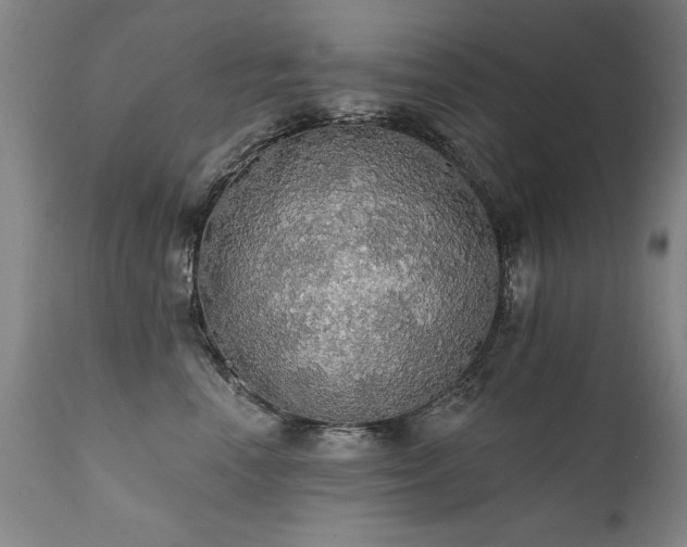 X0000111910666200907271223