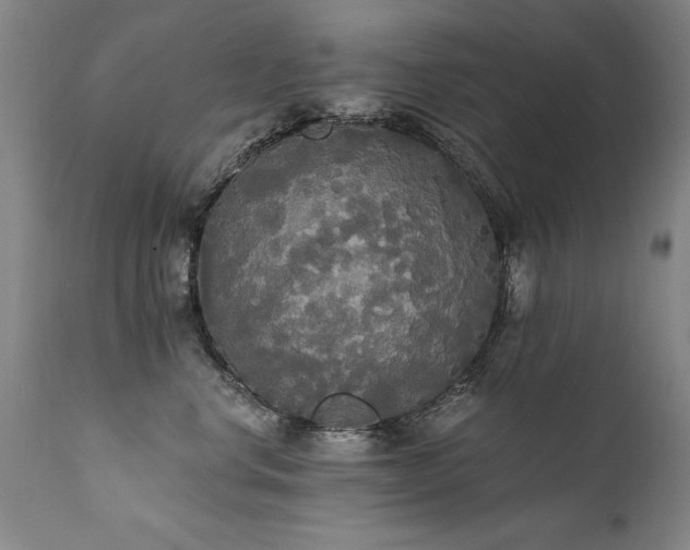 X0000111910668200907271223