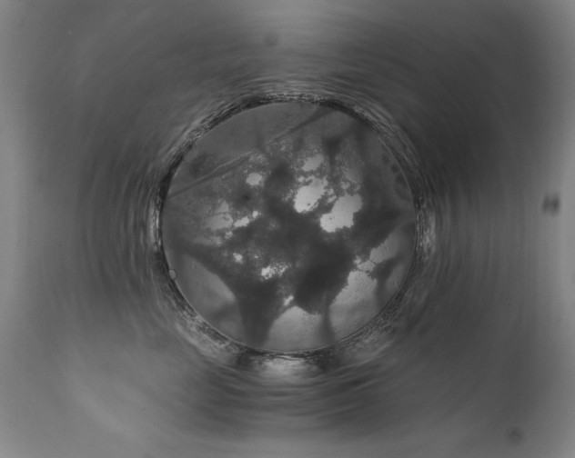 X0000111910669200907271223