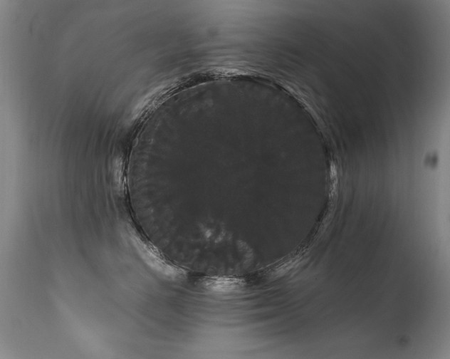 X0000111910670200907271223