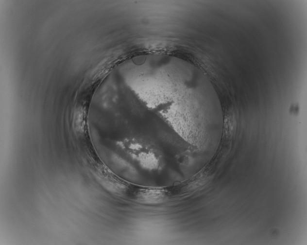 X0000111910671200907271223