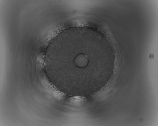 X0000111910672200907271223