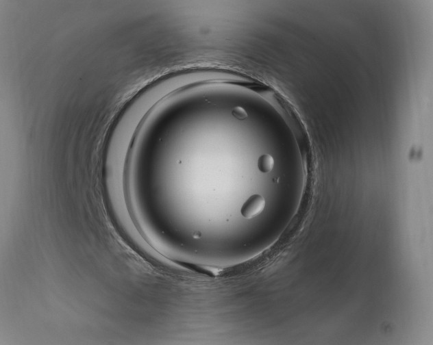 X0000111910673200907271222