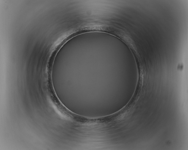 X0000111910674200907271222
