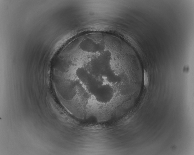 X0000111910675200907271222