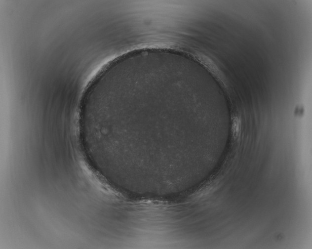 X0000111910676200907271222