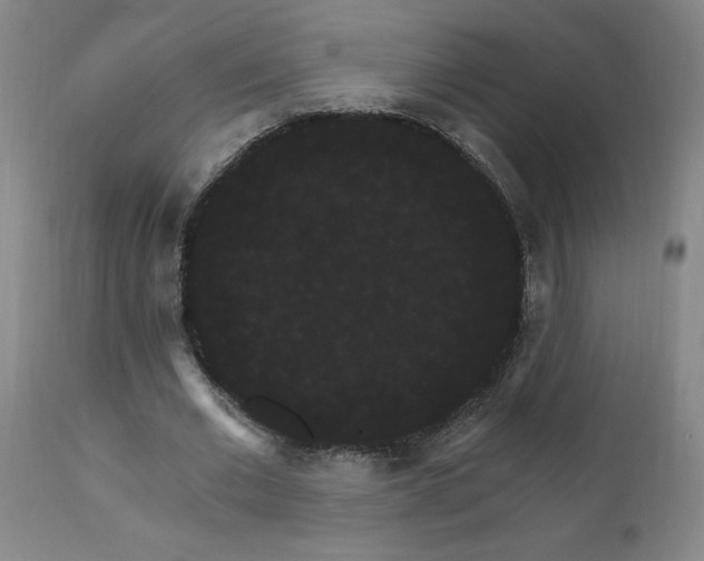 X0000111910677200907271222