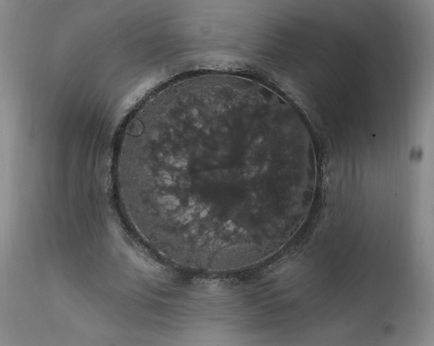 X0000111910679200907271222