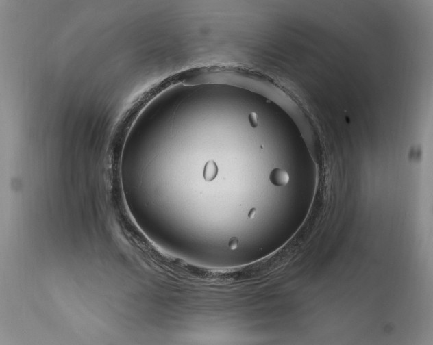 X0000111910680200907271222