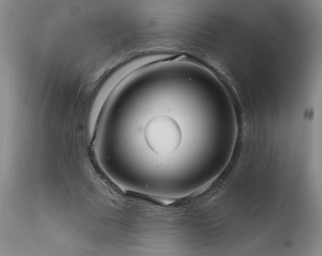 X0000111910681200907271222