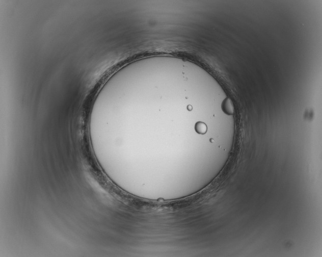 X0000111910683200907271222