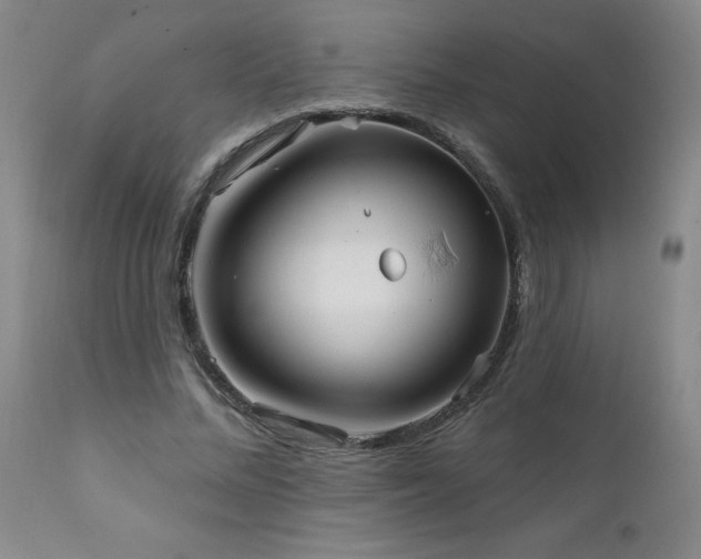 X0000111910684200907271222