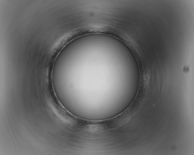 X0000111910686200907271222