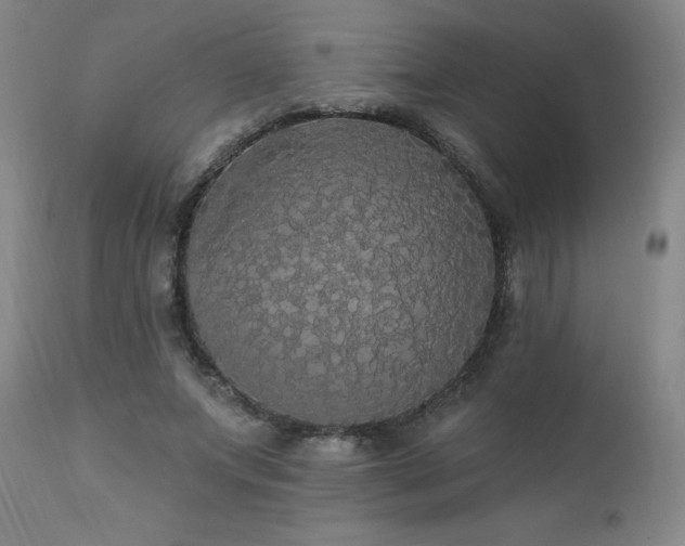 X0000111910687200907271222