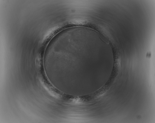 X0000111910688200907271222