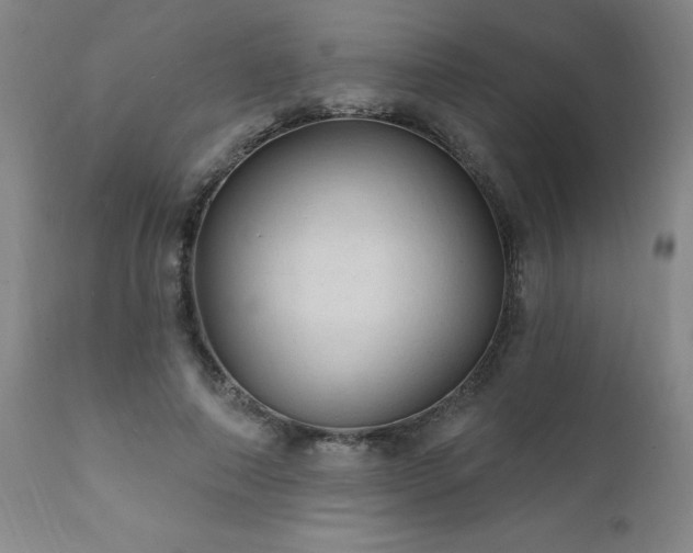 X0000111910690200907271222