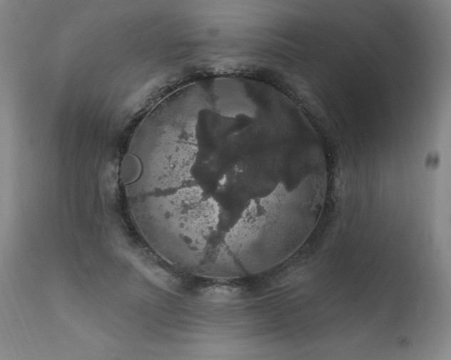 X0000111910691200907271222