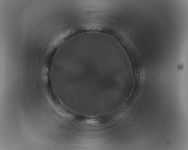 X0000111910692200907271222