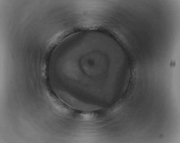 X0000111910693200907271222