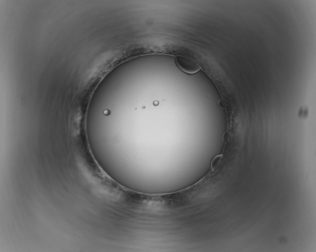 X0000111910694200907271222