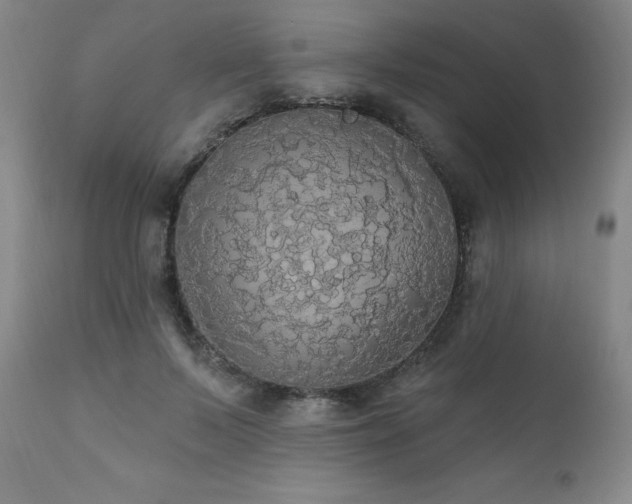X0000111910695200907271222