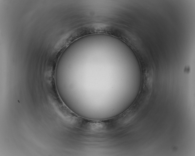 X0000111910698200907271222