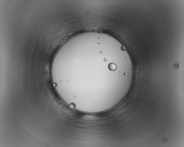 X0000111910699200907271222
