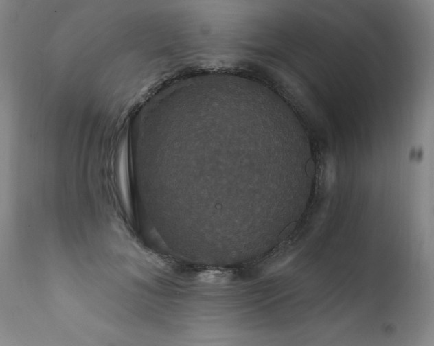 X0000111910700200907271222