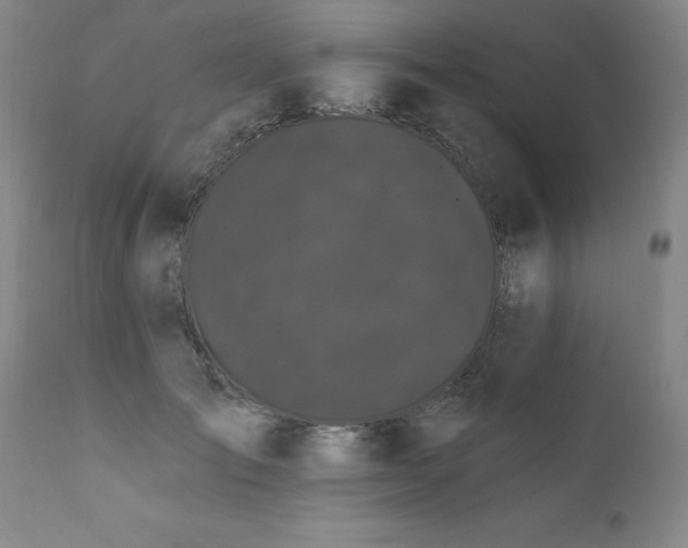 X0000111910701200907271222