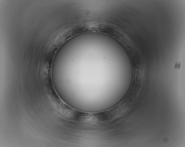 X0000111910702200907271222