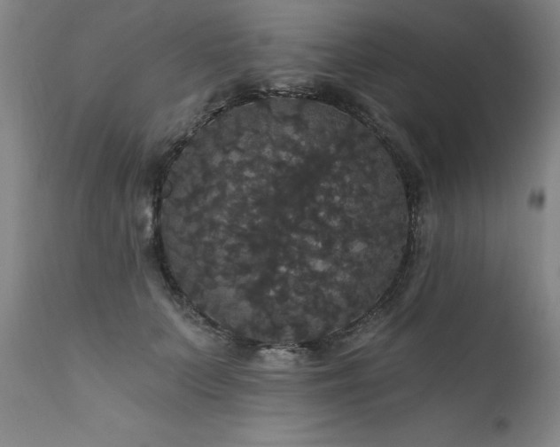 X0000111910703200907271222