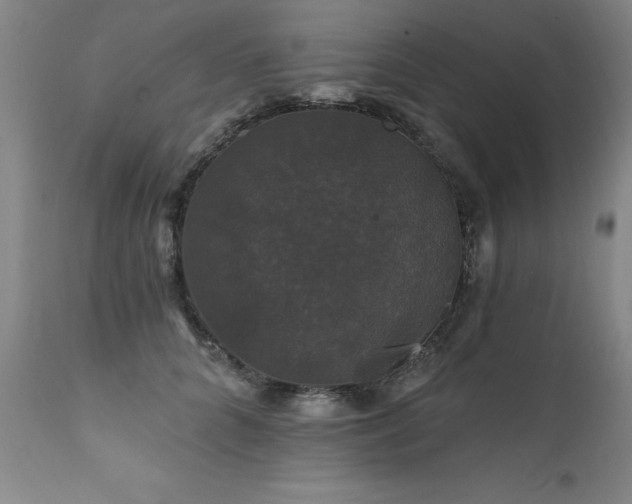 X0000111910704200907271222