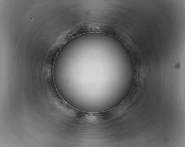 X0000111910706200907271222