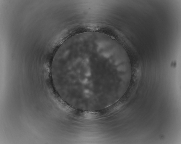 X0000111910707200907271222