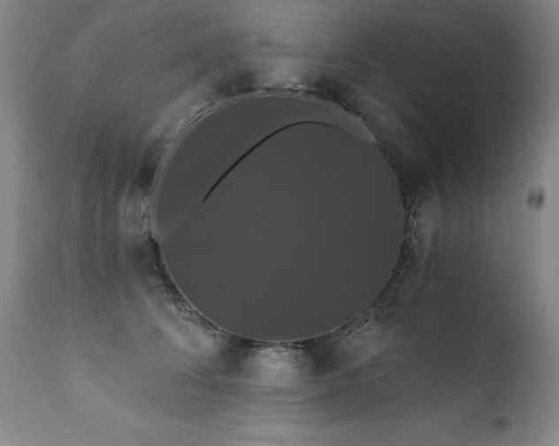 X0000111910708200907271222