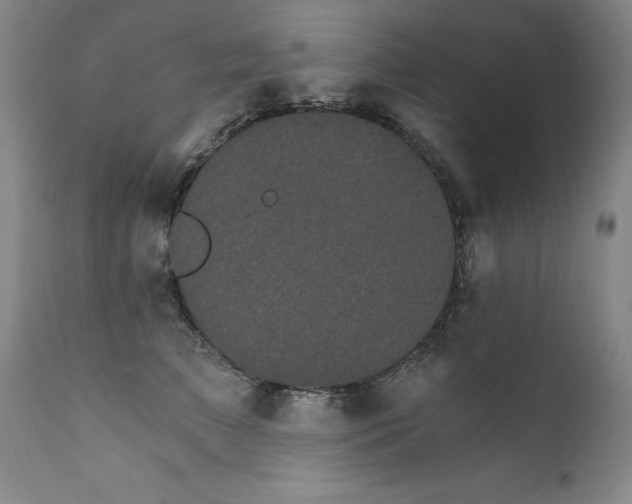 X0000111910709200907271222